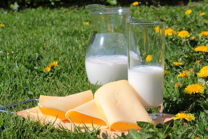 優格、優酪乳銷售從業人員投保指南,工會勞保保障您的未來